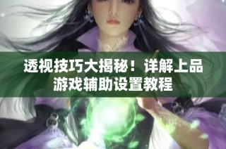 透视技巧大揭秘！详解上品游戏辅助设置教程