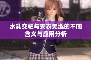 水乳交融与天衣无缝的不同含义与应用分析