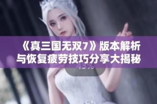《真三国无双7》版本解析与恢复疲劳技巧分享大揭秘