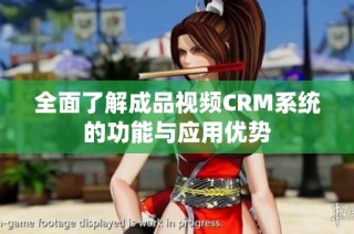 全面了解成品视频CRM系统的功能与应用优势