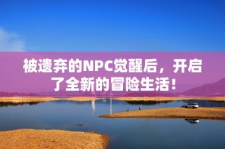 被遗弃的NPC觉醒后，开启了全新的冒险生活！