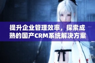 提升企业管理效率，探索成熟的国产CRM系统解决方案