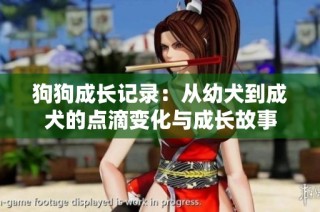 狗狗成长记录：从幼犬到成犬的点滴变化与成长故事