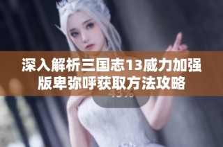 深入解析三国志13威力加强版卑弥呼获取方法攻略