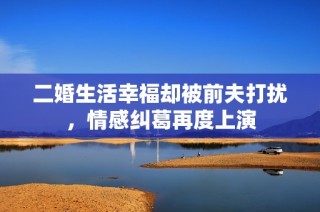 二婚生活幸福却被前夫打扰，情感纠葛再度上演