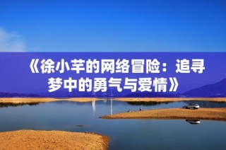 《徐小芊的网络冒险：追寻梦中的勇气与爱情》