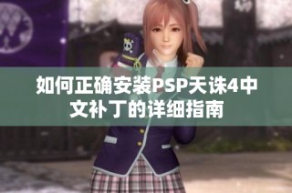 如何正确安装PSP天诛4中文补丁的详细指南