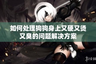 如何处理狗狗身上又硬又烫又臭的问题解决方案