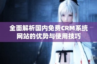 全面解析国内免费CRM系统网站的优势与使用技巧