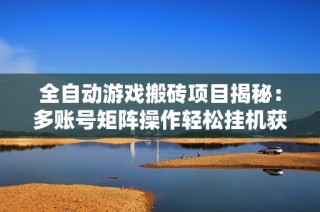 全自动游戏搬砖项目揭秘：多账号矩阵操作轻松挂机获利攻略