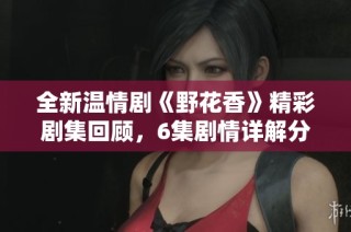 全新温情剧《野花香》精彩剧集回顾，6集剧情详解分享