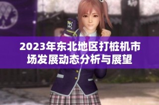 2023年东北地区打桩机市场发展动态分析与展望