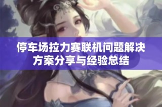 停车场拉力赛联机问题解决方案分享与经验总结
