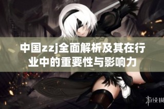 中国zzj全面解析及其在行业中的重要性与影响力