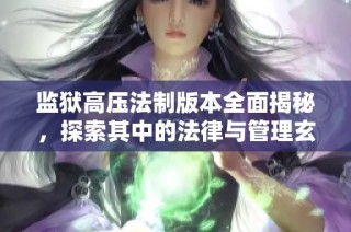 监狱高压法制版本全面揭秘，探索其中的法律与管理玄机