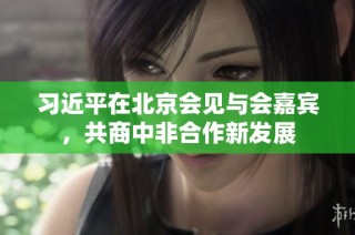习近平在北京会见与会嘉宾，共商中非合作新发展