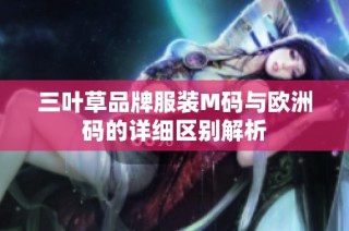 三叶草品牌服装M码与欧洲码的详细区别解析