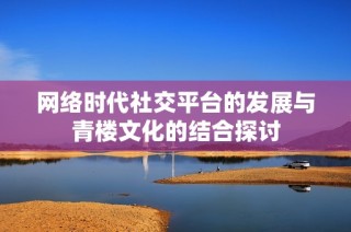 网络时代社交平台的发展与青楼文化的结合探讨