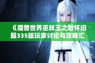 《魔兽世界巫妖王之怒怀旧服335版玩家讨论与攻略汇总》
