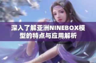 深入了解亚洲NINEBOX模型的特点与应用解析
