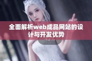 全面解析web成品网站的设计与开发优势