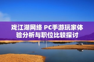 戏江湖网络 PC手游玩家体验分析与职位比较探讨