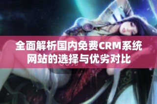 全面解析国内免费CRM系统网站的选择与优劣对比