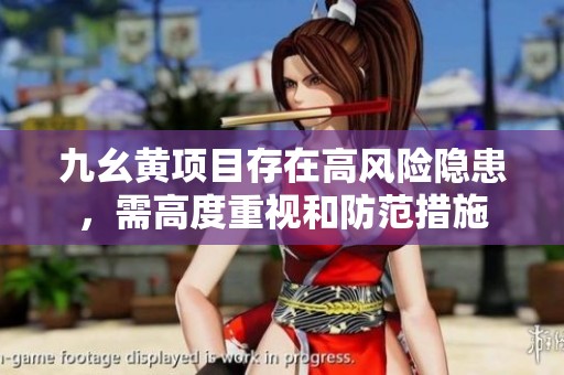 九幺黄项目存在高风险隐患，需高度重视和防范措施