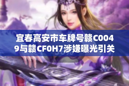 宜春高安市车牌号赣C0049与赣CF0H7涉嫌曝光引关注