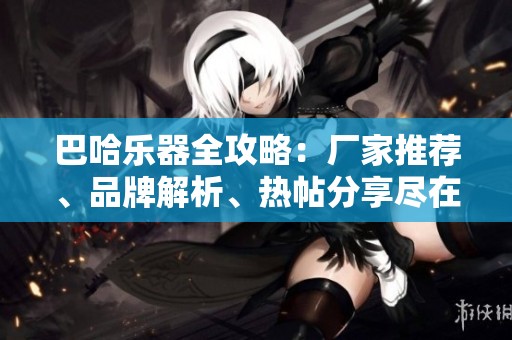 巴哈乐器全攻略：厂家推荐、品牌解析、热帖分享尽在阿里巴巴