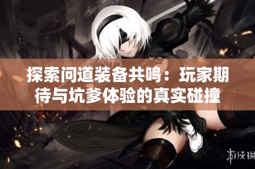探索问道装备共鸣：玩家期待与坑爹体验的真实碰撞