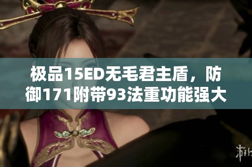 极品15ED无毛君主盾，防御171附带93法重功能强大