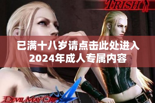 已满十八岁请点击此处进入2024年成人专属内容