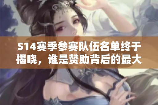 S14赛季参赛队伍名单终于揭晓，谁是赞助背后的最大赢家？