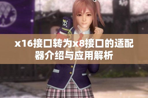 x16接口转为x8接口的适配器介绍与应用解析