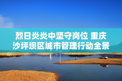 烈日炎炎中坚守岗位 重庆沙坪坝区城市管理行动全景探访