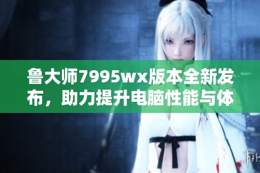 鲁大师7995wx版本全新发布，助力提升电脑性能与体验