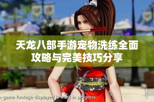 天龙八部手游宠物洗练全面攻略与完美技巧分享