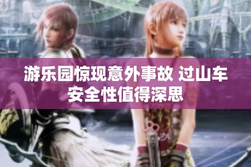 游乐园惊现意外事故 过山车安全性值得深思