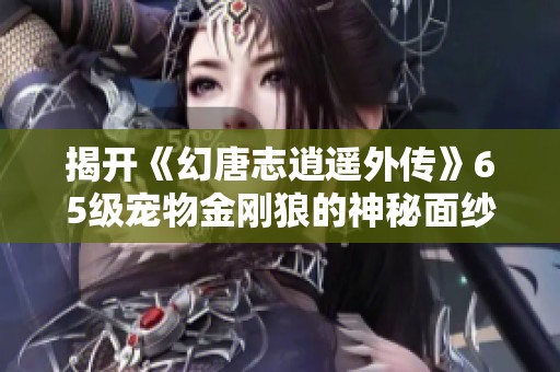 揭开《幻唐志逍遥外传》65级宠物金刚狼的神秘面纱