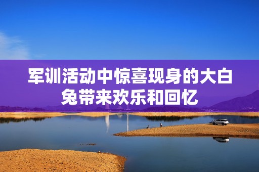 军训活动中惊喜现身的大白兔带来欢乐和回忆