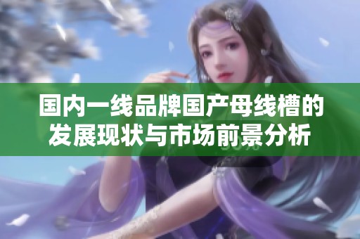 国内一线品牌国产母线槽的发展现状与市场前景分析