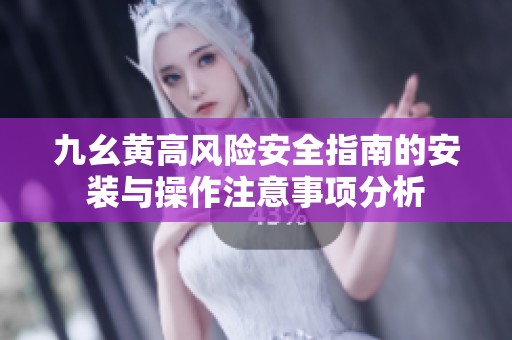九幺黄高风险安全指南的安装与操作注意事项分析
