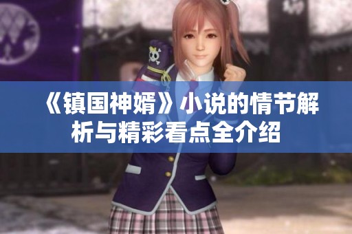 《镇国神婿》小说的情节解析与精彩看点全介绍