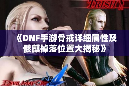 《DNF手游骨戒详细属性及骸麒掉落位置大揭秘》