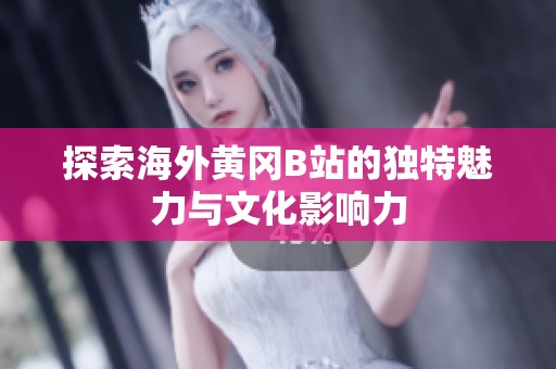 探索海外黄冈B站的独特魅力与文化影响力