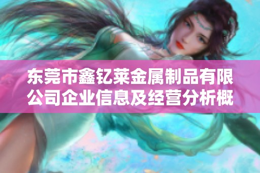 东莞市鑫钇莱金属制品有限公司企业信息及经营分析概览