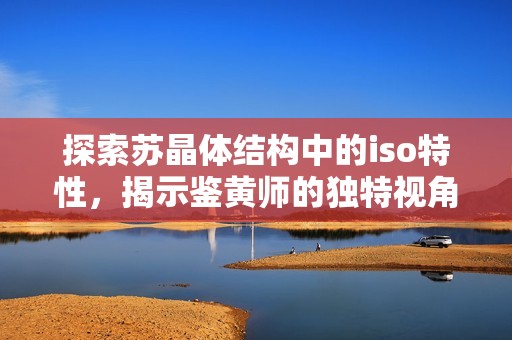 探索苏晶体结构中的iso特性，揭示鉴黄师的独特视角