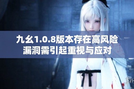 九幺1.0.8版本存在高风险漏洞需引起重视与应对