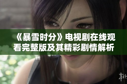 《暴雪时分》电视剧在线观看完整版及其精彩剧情解析